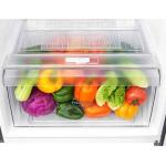 LG Fridge, 254L, 2 Door Top Mount Freezer No Frost (Frost Free), Silver